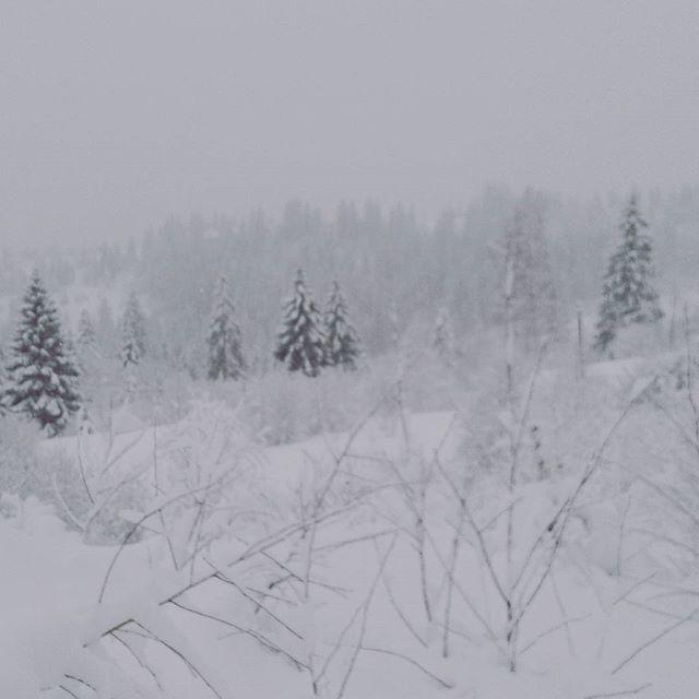 Zacharovany Karpaty Slavske Esterno foto